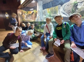 IMG-20241130-WA0003[1]