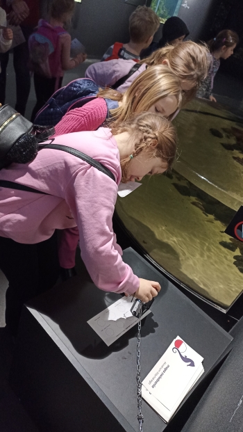 IMG_20241130_093951[1]