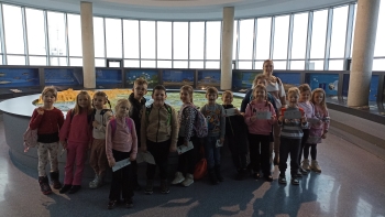 IMG_20241130_100254[1]